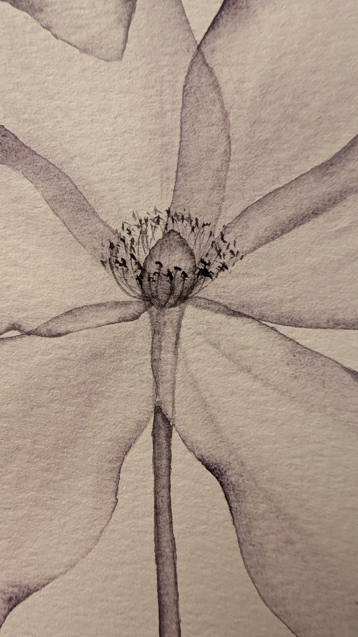 Botanical watercolor study
