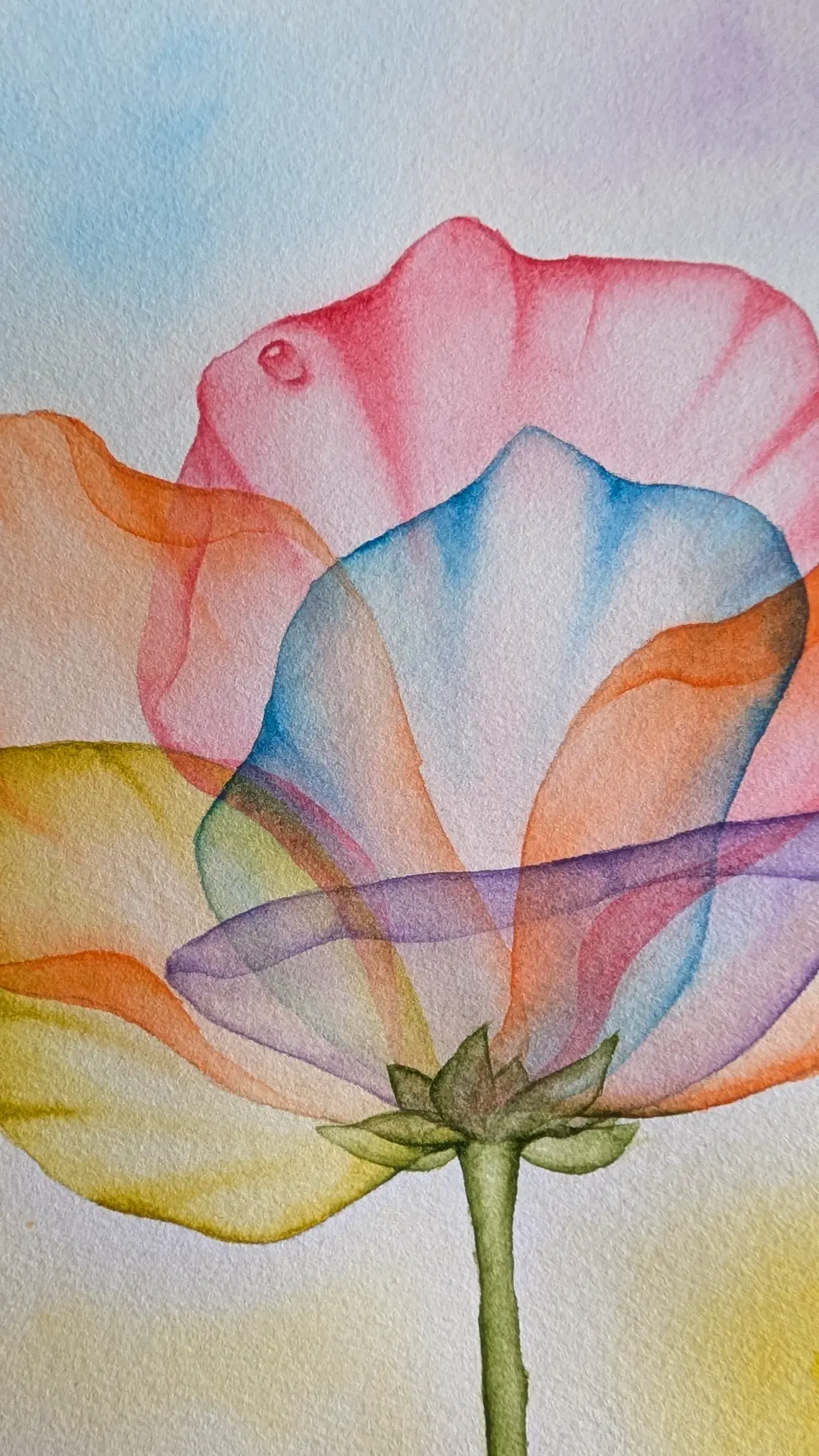 Colorful tropical watercolor