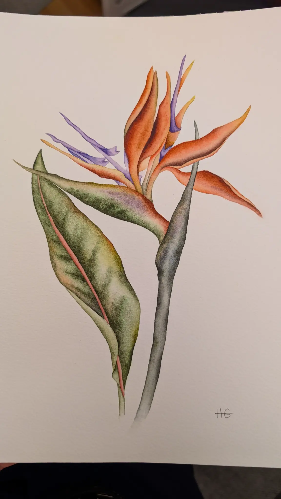 Floral watercolor
